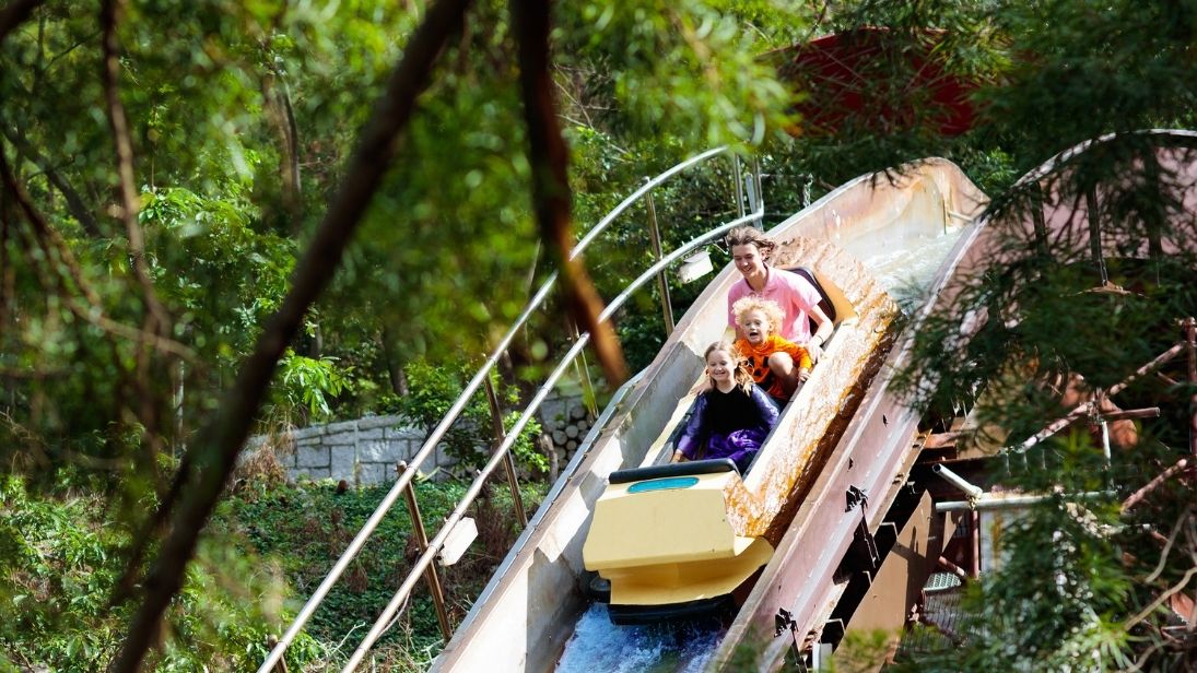 © famveldman/Adobe Stock